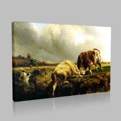 Jacques Laurent Agasse-Boga DovUsU Canvas