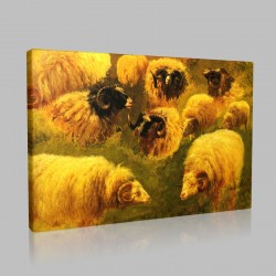 Rosa Maria Bonheu-Studies of Ram Stampa su Tela