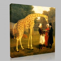 Jacques Laurent Agasse-The Nubian Giraffe Stampa su Tela 