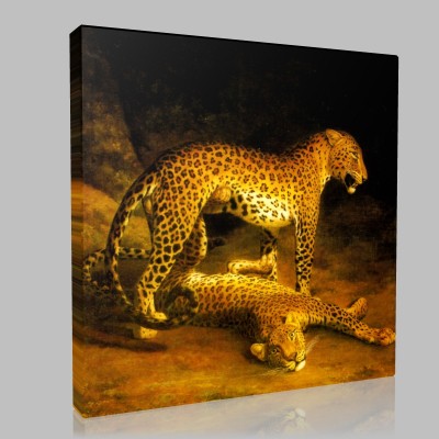 Jacques Laurent Agasse-Two leopards Canvas 