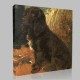 John Emms-The dog Canvas John Emms-The dog Canvas