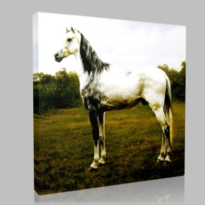 Rosa Maria Bonheu-Tinted gray horse Canvas 