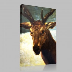 Diego Velázquez-Tête de Cerf Stampa su Tela