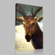 Diego Velázquez-Tête de Cerf Canvas Diego Velázquez-Tête de Cerf Canvas