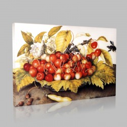 Giovanna Garzoni-Cerises dans un plat, cosse et bourdon Stampa su Tela