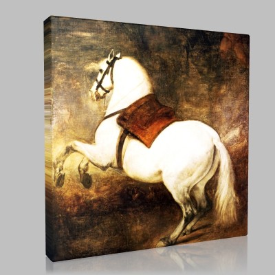 Diego Velázquez-Cheval blanc Canvas