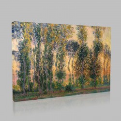 Monet-Trees Stampa su Tela
