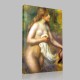 Renoir-Bather, known as Naked in the river Canvas