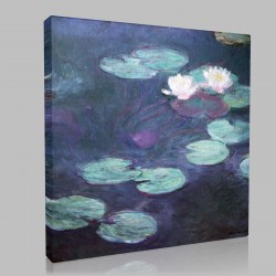Monet-Waterlilies 1897-1899 Stampa su Tela
