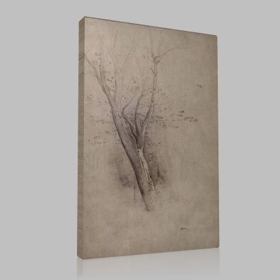 Odilon Redon-Trees Canvas