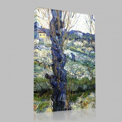 Van Gogh-Sight of Arles Stampa su Tela