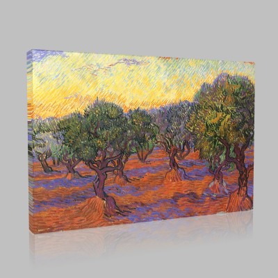 Van Gogh-The Olive Grove Canvas
