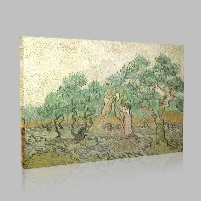 Van Gogh-The Olive Pickers, Saint-Remy Stampa su Tela