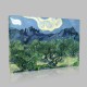 Van Gogh-The Olive Trees Canvas