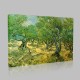 Van Gogh-The Olive Trees,1888 Canvas