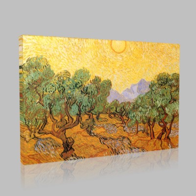 Van Gogh-The Olive Trees,1889 Stampa su Tela