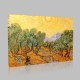 Van Gogh-The Olive Trees,1889 Stampa su Tela