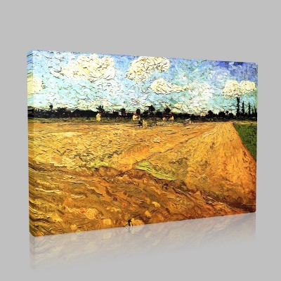 Van Gogh-Wheatfields Stampa su Tela