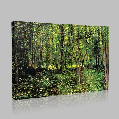 Van Gogh-Woods and Undergrowth Canvas