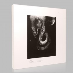 Odilon Redon-Le Tentation de Sain Stampa su Tela