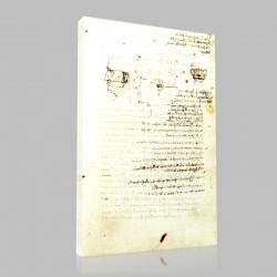 Leonardo DaVinci-Etude de tête humaine, Manuscrit A Stampa su Tela