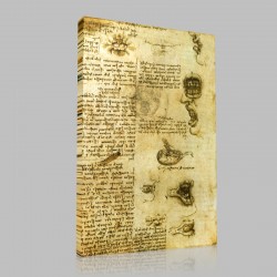 Leonardo DaVinci-Etude des muscles de la bouche Stampa su Tela
