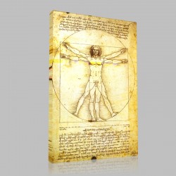 Leonardo DaVinci-L'Homme vitruvien Stampa su Tela