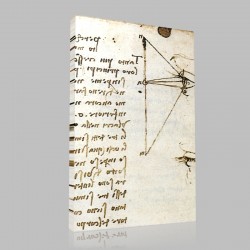 Leonardo DaVinci-Oeil et rayons lumineux, Manuscrit D Stampa su Tela