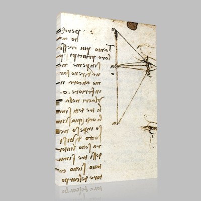 Leonardo DaVinci-Oeil et rayons lumineux, Manuscrit D Canvas