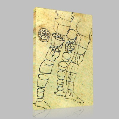 Leonardo DaVinci-Section transversale d'une jambe, Windsor RL Canvas