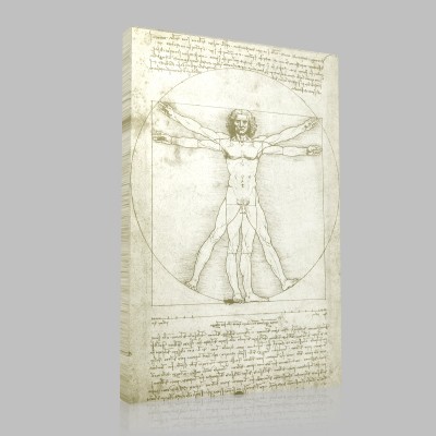 Leonardo DaVinci-Vitruvian Man Canvas