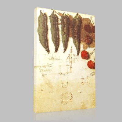 Leonardo DaVinci-ruits et Légumes, architectures en plan, groupes de lettres non déchiffrées Canvas