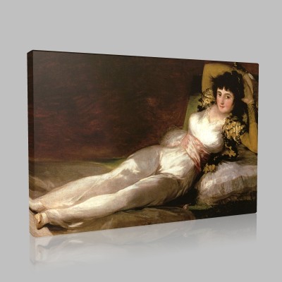 Goya-Maja Canvas