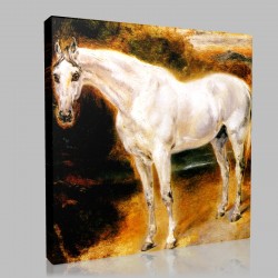 Eugène Delacroix-Etude de Cheval blanc Stampa su Tela