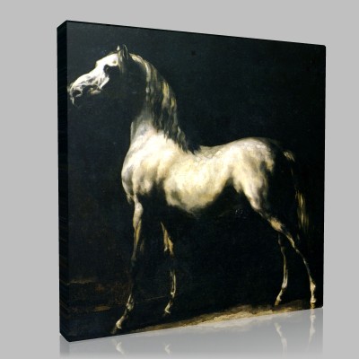 Théodore de Géricault-Study of white Horse Canvas