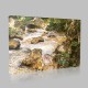 John Singer Sargent-Trout Stream In The Tyrol Canvas