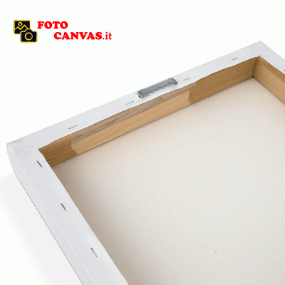 Goya-Dessin préparatoire à la planche Le Sommeil  Dessin  Plume et lavis de bistre Canvas